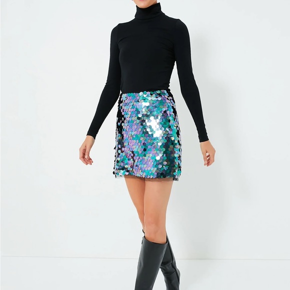 Tuckernuck Dresses & Skirts - Midnight Rituals Remmi Mini Skirt